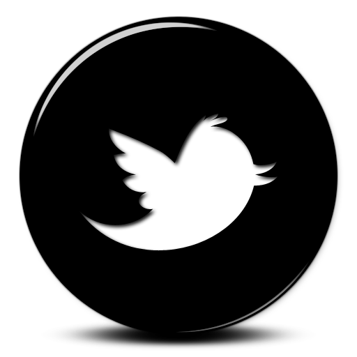Twiter Anima Mundi